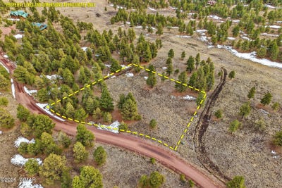 /international/us/14-county-road-n-1332-greer-az-110105338324/