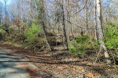 /international/us/lot-421-mystic-star-drive-new-tazewell-tn-110100921629/?lang=zh-tw