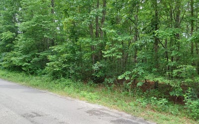 /international/us/gray-fox-drive-crossville-tn-110108469882/