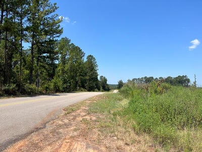 /international/us/lot-10-county-road-22-columbia-al-110098823168/?lang=zh-tw