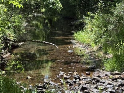 /international/us/old-union-road-imboden-ar-110107953856/