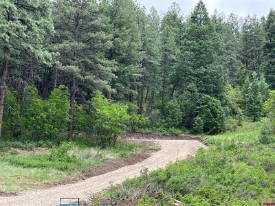 /international/us/916b-easy-street-pagosa-springs-co-110093778921/