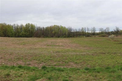 /international/us/route-318-waterloo-ny-110103029199/