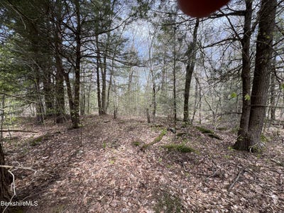 /international/us/skyline-ridge-rd-lot-19-becket-ma-110107911412/