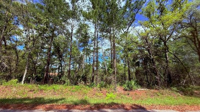 /international/us/lot-15-bay-court-ocklawaha-fl-110107212289/