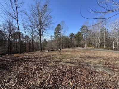 /international/us/fox-trail-drive-old-fort-tn-110105275757/