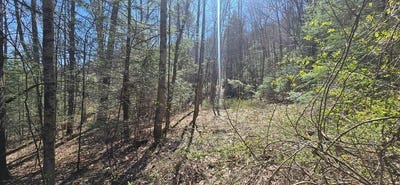 /international/us/125-redbud-ln-daniels-wv-110106946303/
