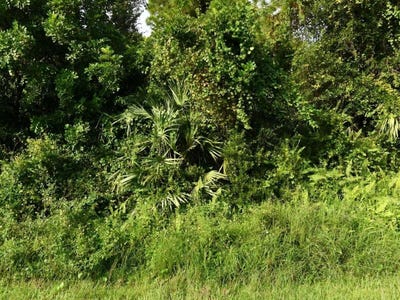 /international/us/2338-sw-fern-circle-port-st-lucie-fl-110107347912/