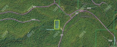 /international/us/fs-1548-forest-pettigrew-ar-110107234006/