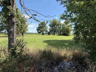 /international/us/31767-north-rd-marked-tree-ar-110109010578/