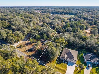 /international/us/31060-lochmore-circle-sorrento-fl-110105258349/