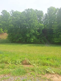 /international/us/lot-67-hillside-morganton-ga-110107993503/
