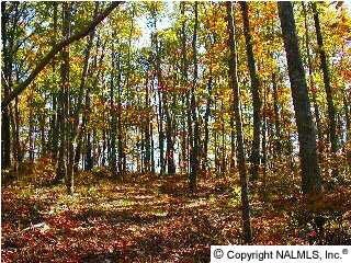 /international/us/7-blowing-cave-road-gurley-al-110089405486/