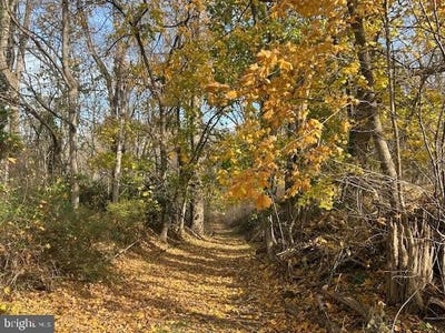 /international/us/cuba-road-cockeysville-md-110103543118/