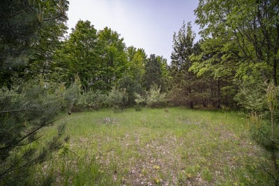 /international/us/covey-road-beulah-mi-110098395799/