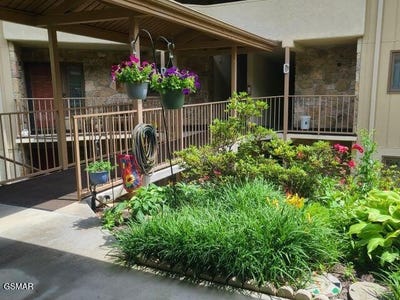 /international/us/224-woodland-rd-road-gatlinburg-tn-110100722451/