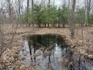 /international/us/00-4-mile-road-sears-mi-110100803781/