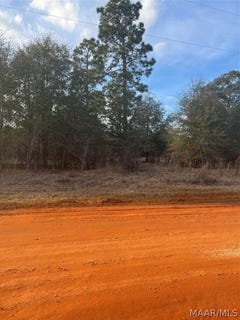 /international/us/deer-loop-lot-50-camden-al-110081756945/