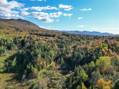 /international/us/darling-road-lot-0-morristown-vt-110102027964/