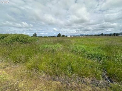 /international/us/3-springer-st-cathlamet-wa-110099815784/?lang=zh-cn