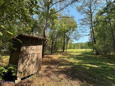 /international/us/2-forest-service-road-562-pulaski-ms-110106364350/