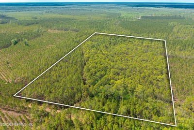 /international/us/county-road-229-sanderson-fl-110107831430/
