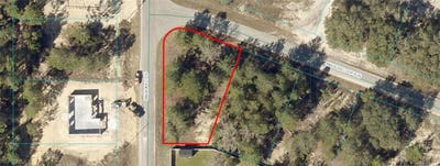 /international/us/9031-0945-15-malauka-loop-run-ocklawaha-fl-110100619648/?lang=zh-cn