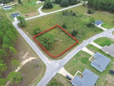 /international/us/malauka-run-ocklawaha-fl-110120497937/