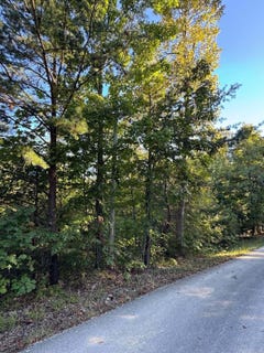 /international/us/turkey-ridge-road-lot-51-wellington-ky-110120455015/