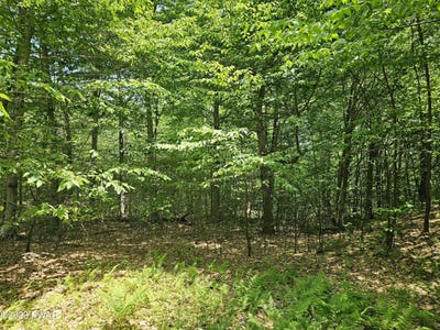 /international/us/stonegate-road-lot-69-equinunk-pa-110084845149/