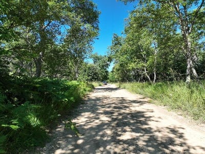 /international/us/11722-behlke-road-se-fife-lake-mi-110100984929/