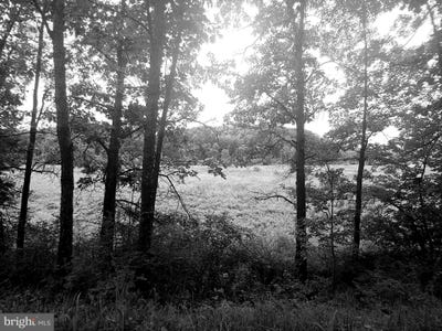 /international/us/bear-hill-road-oldtown-md-110100428157/?lang=es