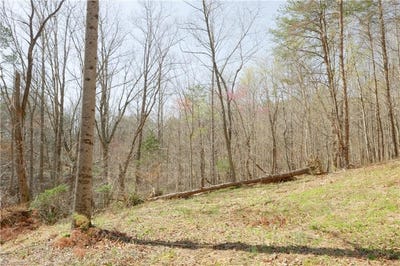 /international/us/seven-island-road-danbury-nc-110106523281/