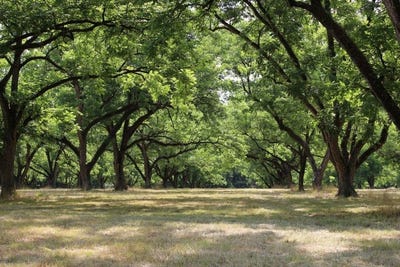 /international/us/shady-grove-road-hurtsboro-al-110101726744/