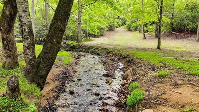/international/us/805-quail-cove-circle-warne-nc-110088385678/