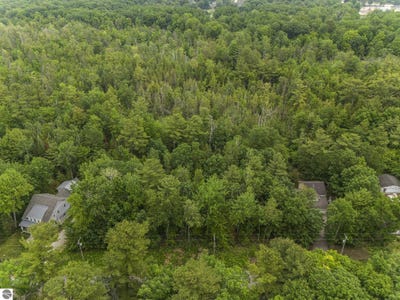 /international/us/00-deepwater-point-road-williamsburg-mi-110100481039/?lang=en