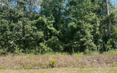 /international/us/tbd-ne-river-park-rd-lee-fl-110086207733/