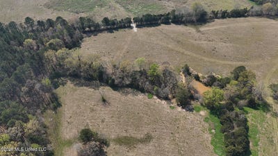 /international/us/potluck-road-lot-1-canton-ms-110106691863/