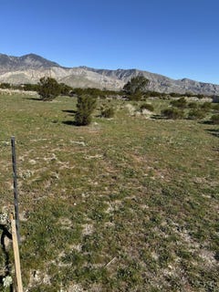 /international/us/faryl-avenue-cabazon-ca-110104551948/