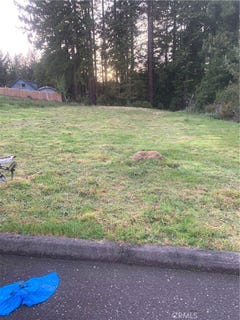 /international/us/0-brogan-eureka-ca-110098326901/