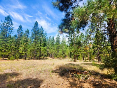 /international/us/1866-k-northport-flat-creek-rd-kettle-falls-wa-110105971403/