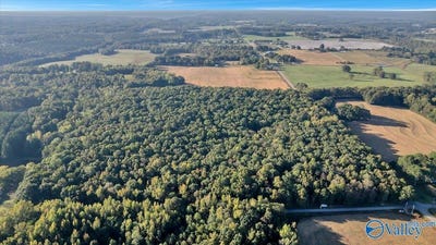 /international/us/20-acres-little-coffman-road-lester-al-110101052215/