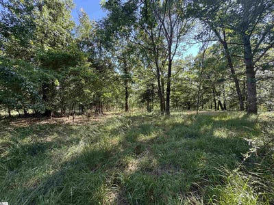 /international/us/farmers-hill-road-liberty-sc-110099540076/