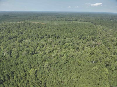 /international/us/19-12-16-ouachita-cr-31-harmony-grove-ar-110107536357/