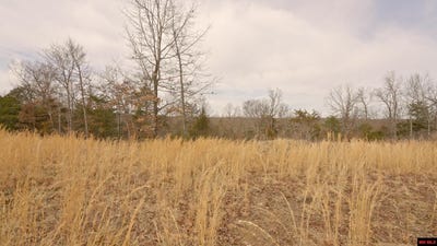 /international/us/oakridge-drive-lot-22-gepp-ar-110104444289/