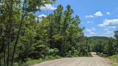 /international/us/000-gardner-hill-lane-fordland-mo-110100312921/?lang=en