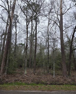 /international/us/n-china-beaumont-tx-110097908754/