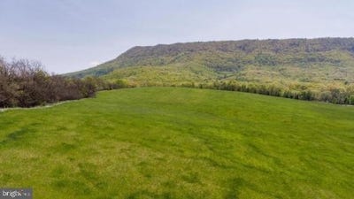 /international/us/sandy-hook-farm-lot-3-strasburg-va-110107201769/