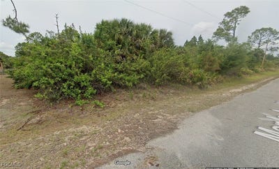 /international/us/715-maple-avenue-n-lehigh-acres-fl-110101102362/
