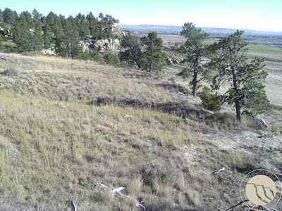 /international/us/10550-reno-lane-shepherd-mt-110105756471/